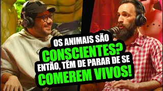 CdK Ep014 Round 3–Duelo de Ética sobre Veganismo Ciência Direitos Humanos e dos Animais [upl. by Asiralc]