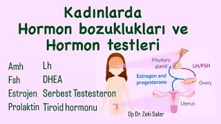 Kadınlarda Hormon Testleri ne zaman nasıl ve ne için yapılır Kadın Hormonlarının normal değerleri [upl. by Amund921]