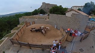 Carrera veloz y limpia de los Nuñez del Cuvillo [upl. by Avirt579]