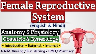 Female Reproductive System Lecture In Hindi  Reproductive System Anatomy And Physiology For Nursing [upl. by Vena848]