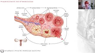 Anatomia e Fisiologia  Fisiologia Apparato Riproduttore Femminile [upl. by Allenotna]