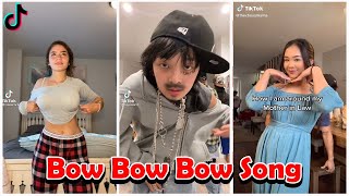 Cant Stop Jiggin  Bow Bow Bow Song  TIKTOK Compilation  Hd4president [upl. by Friedrick]