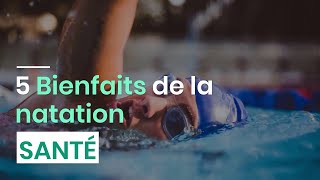 5 Bienfaits de la natation [upl. by Gassman]