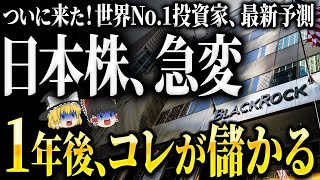 今コレ買っとけば勝ち！世界一の投資家「ブラックロック」が激推しする株はこれ！1年後に爆上がりします [upl. by Bianca]