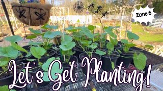 Planting Hollyhocks Bachelors Buttons and Poppies Zone 6 Cottage Garden Vlog [upl. by Ystap]