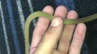 Yellow Faced Whip Snake at Ergon Energy [upl. by Nasia213]