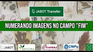 Numerando imagens no campo quotFimquot [upl. by Eiliah]