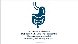 anatomical based defect of duodenal ulcer and paralytic ileus [upl. by Anisah799]