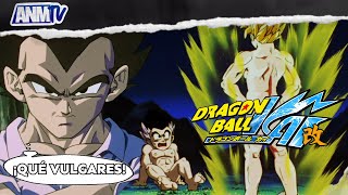 La polémica historia de Dragon Ball Kai [upl. by Haorbed]