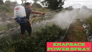 New Technology For Gardening KNAPSACK POWER SPRAY [upl. by Lyontine]