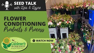 Seed Talk 95  Flower Conditioning Products amp Process [upl. by Eisac]