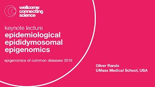 Epidemiological epididymosomal epigenomics  Oliver Rando [upl. by Middleton]