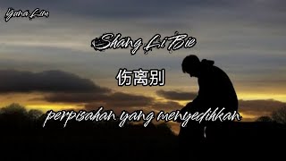 Shang Li Bie 伤离别 perpisahan yang menyedihkan Chen Ya Sen 陈雅森 Lyrics [upl. by Oruasi]