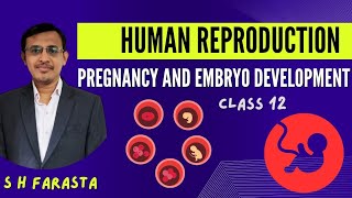 Pregnancy and Embryo development class 12 [upl. by Aiym]