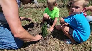 Ellwoodii Cypress Planting [upl. by Akkimat593]