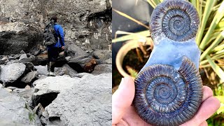 Fossil Hunter Finds Landslide FULL Of Fossils [upl. by Neerak]