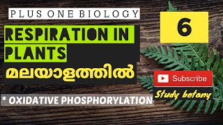 OXIDATIVE PHOSPHORYLATIONRESPIRATION IN PLANTS PLUS ONE BIOLOGY CHAPTER14 MALAYALATHIL STUDYBOTANY [upl. by Gahan610]