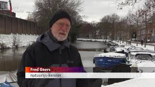 Waar kun je schaatsen in onze regio RTV Utrecht [upl. by Anegroeg994]