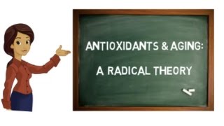 Antioxidants  Antioxidants Biochemistry  Free Radical Scavengers [upl. by Aniger]