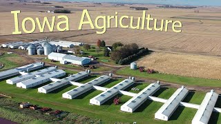 How Iowa Farmers Make 264 Billion A Year From 85300 Farms  American Farming Documentary [upl. by Boylan429]