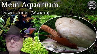 Down Under  Bodengrund Wwiam  Mein Aquarium 48 [upl. by Ednihek]