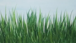 Acrylic Painting How to Paint Tall Grass Quick and Easy Painting Tutorial [upl. by Mathis]