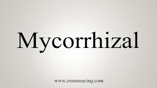 How To Say Mycorrhizal [upl. by Ludvig388]