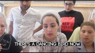 VLOG RAMADAN DAY 5  THERES A DANCING BIRD NOW [upl. by Glasgo526]