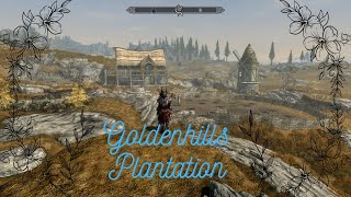 Skyrim anniversary edition Goldenhills plantation guide [upl. by Neellok]