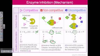 Enzyme inhibition [upl. by Chelsea157]