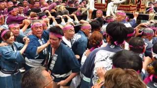 喧嘩？大迫力！鳥越祭り 2016 本社神輿渡御・北松山町会 Torigoe festival headquarters carrying of miniature shrines [upl. by Redle]