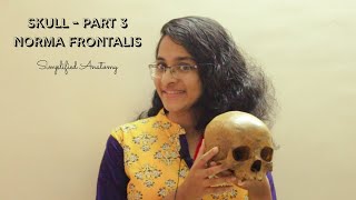 SKULL PART 3  NORMA FRONTALIS  ANATOMY  SIMPLIFIED ✔ [upl. by Dareg]