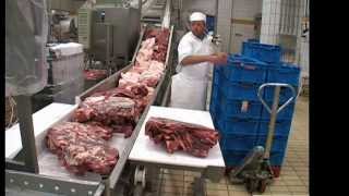 Salami Processing Line with Cutter [upl. by Horwath539]