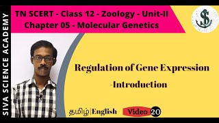 20 Regulation of Gene Expression  Introduction  Chapter05  Molecular Genetics  Class12 [upl. by Onateyac]