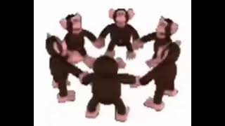 Monkeys spinning low quality 1 hour [upl. by Peppard112]