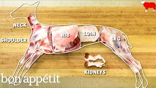 How to Butcher an Entire Lamb Every Cut of Meat Explained  Handcrafted  Bon Appetit [upl. by Marlen]