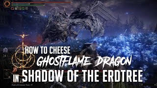 How to Cheese Ghostflame Dragon at the Cerulean Coast in Shadow of the Erdtree Easy Kill [upl. by Asiole]