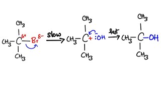 Halogenoalkanes  A level Chemistry  Class 12th Chemistry  Organic Chemistry Revision [upl. by Oht484]