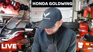 Unhappy About His Goldwing  Live in the Caliente Garage [upl. by Huai]