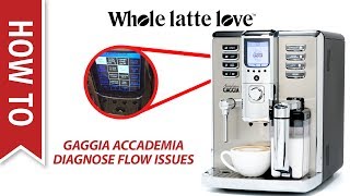 How to Diagnose Flow Issues in the Gaggia Accademia Espresso Machine [upl. by Lorens]