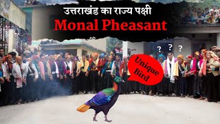 Monal Pheasant उत्तराखंड का राज्य पक्षी कैसे बना  Uttarakhand State Bird Himalayan Monal  History [upl. by Levona]