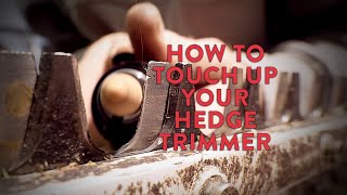 Quick Trimmer Touch Up  Fast amp Easy Sharpening for Hedge Trimmers [upl. by Jamnes905]