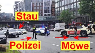 Sture Hamburger Möwe provoziert Verkehrstau und Polizeieinsatz in Hamburg [upl. by Maggie586]