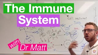 Immune System Part 1 Crash Course Anatomy amp Physiology 45 [upl. by Sualakcin949]