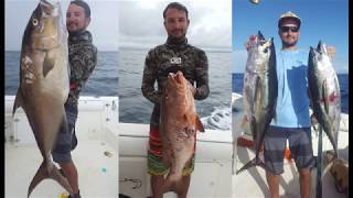 Spearfishing Central Costa Rica conchatized Edit [upl. by Mulcahy]