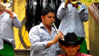 Banda El Kaderazo  Sopa de caracol  Platinum Records [upl. by Drofnelg]