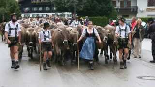 Uff d Alpa doma II  Jodellied  Allgäu  Volksmusik [upl. by Hoseia]