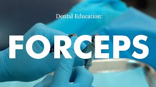 Demonstration of forceps technique for dental extraction [upl. by Auerbach]