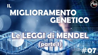 Le leggi di Mendel parte 1  Il Miglioramento Genetico 07 [upl. by Itnuahsa320]