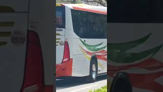 KV3100 scania k320ib marcopolo audace 800 shun fung motor bus [upl. by Scutt]